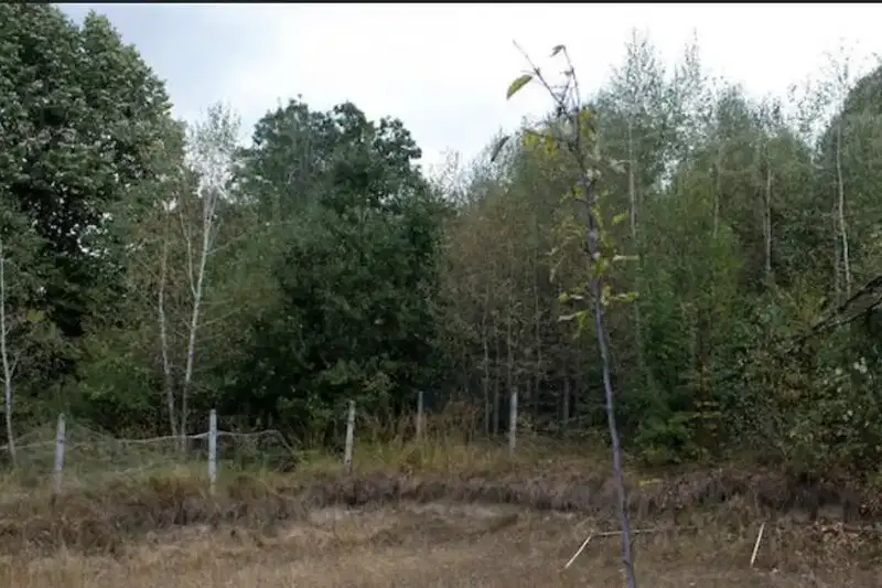Plot in Oblast Lovech, Aprilci