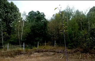 Парцел в Ловеч, Априлци