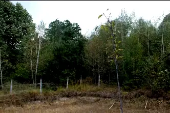 Парцел в Ловеч, Априлци
