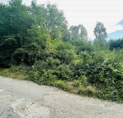 Photo 2 — Plot in Oblast Lovech, Teteven
