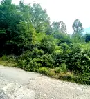 Парцел в Ловеч, Тетевен