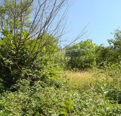 Снимка 5 — Парцел в Ловеч, Троян