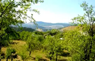 Парцел в Ловеч, Троян