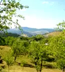 Парцел в Ловеч, Троян