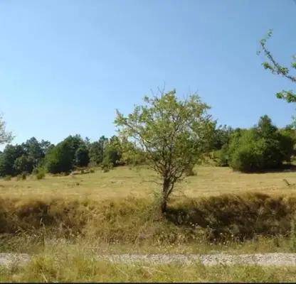 Photo 3 — Plot in Oblast Lovech, Belish