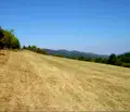 Снимка 4 — Парцел в Ловеч, с. Белиш