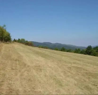 Photo 4 — Plot in Oblast Lovech, Belish