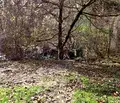 Снимка 4 — Парцел в Ловеч, с. Черни Осъм