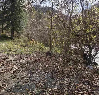 Photo 5 — Plot in Oblast Lovech, Cherni Osym