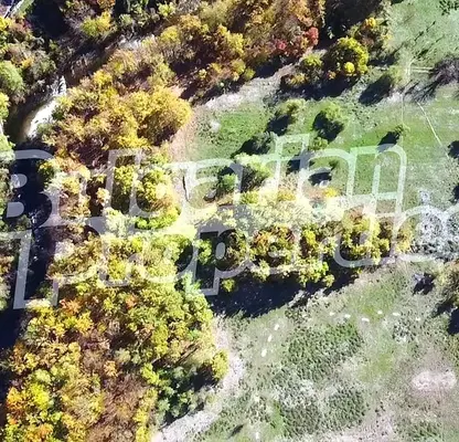 Photo 5 — Plot in Oblast Lovech, Skandaloto