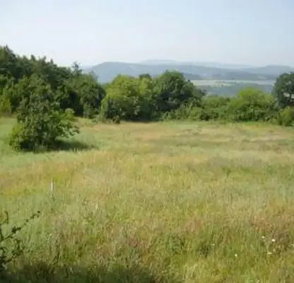 Photo 2 — Plot in Oblast Lovech, Slivek