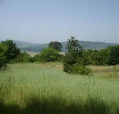 Photo 5 — Plot in Oblast Lovech, Slivek