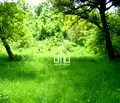 Снимка 2 — Парцел в Ловеч, с. Сопот
