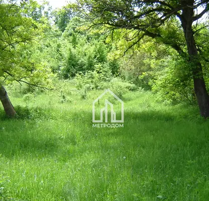 Photo 2 — Plot in Oblast Lovech, Sopot