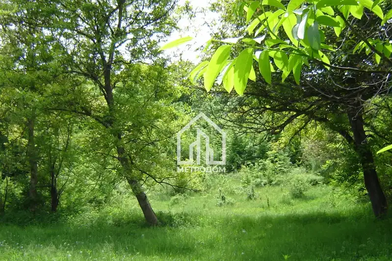 Plot in Oblast Lovech, Sopot