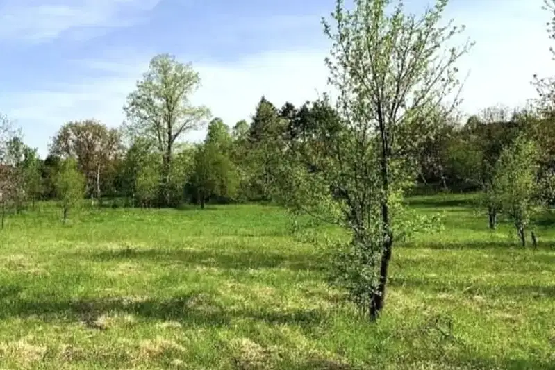 Plot in Oblast Lovech, Staro Selo
