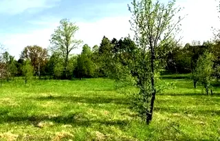Парцел в Ловеч, с. Старо село