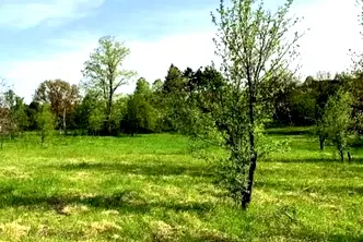 Парцел в Ловеч, с. Старо село