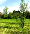 Парцел в Ловеч, с. Старо село