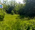 Снимка 3 — Парцел в Монтана, Берковица