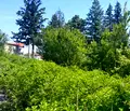 Снимка 2 — Парцел в Монтана, Берковица
