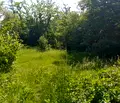 Снимка 4 — Парцел в Монтана, Берковица