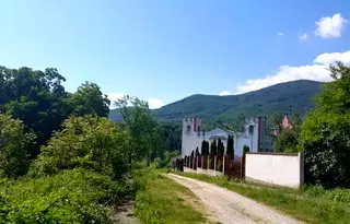 Парцел в Монтана, Берковица