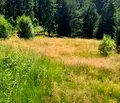 Снимка 3 — Парцел в Пазарджик, Сърница