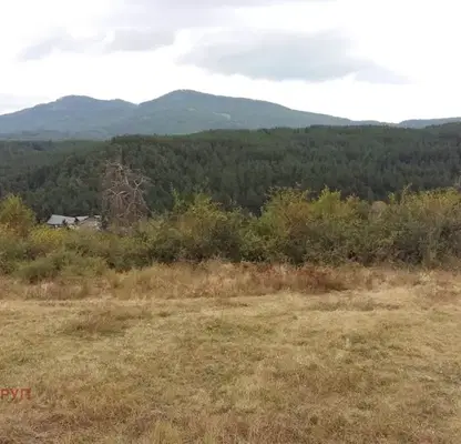 Photo 2 — Plot in Oblast Pazardjik, Велин