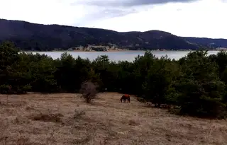 Парцел в Пазарджик, м-т Цигов чарк