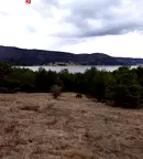 Парцел в Пазарджик, м-т Цигов чарк