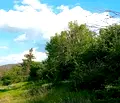 Снимка 3 — Парцел в Пазарджик, с. Лесичово