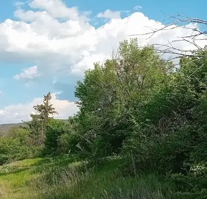 Photo 3 — Plot in Oblast Pazardjik, Lesichovo