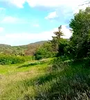 Парцел в Пазарджик, с. Лесичово