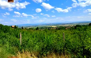 Парцел в Пазарджик, с. Ветрен дол