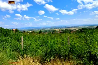 Парцел в Пазарджик, с. Ветрен дол