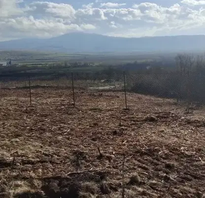 Photo 2 — Plot in Oblast Pernik, Dolna Dikanya