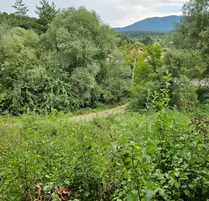 Photo 4 — Plot in Oblast Pernik, Dragichevo