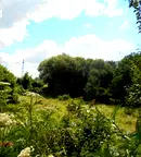 Парцел в Перник, с. Жабляно