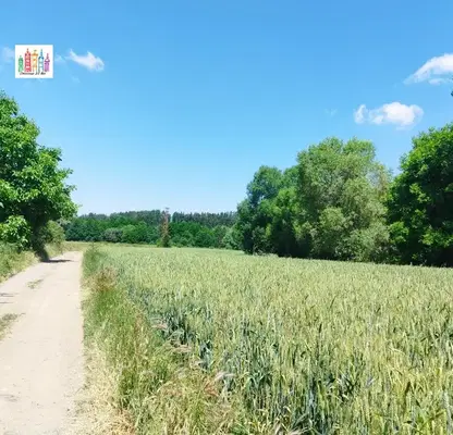 Снимка 2 — Парцел в Перник, с. Кладница