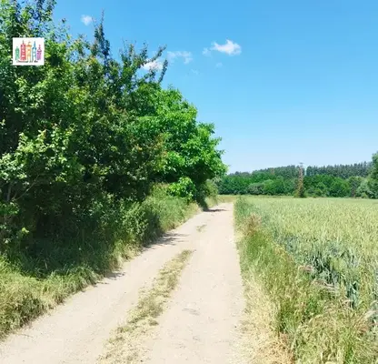 Снимка 3 — Парцел в Перник, с. Кладница
