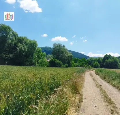 Снимка 5 — Парцел в Перник, с. Кладница