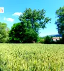 Парцел в Перник, с. Кладница