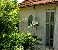 Снимка 2 — Парцел в Перник, с. Конска