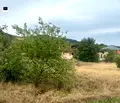 Снимка 3 — Парцел в Перник, с. Велковци