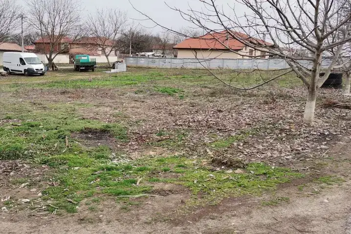 Plot in Pleven, Kyshin