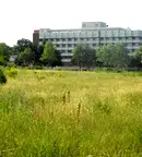Парцел в Пловдив, Хисаря