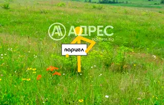 Парцел в Пловдив, Стамболийски