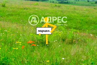 Парцел в Пловдив, Стамболийски