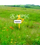 Парцел в Пловдив, Стамболийски